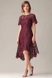 Burgundy Sheath Lace Short Sleeves Hi-Low Mother of the Bride Dress