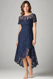 Burgundy Sheath Lace Short Sleeves Hi-Low Mother of the Bride Dress