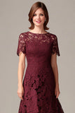 Burgundy Sheath Lace Short Sleeves Hi-Low Mother of the Bride Dress