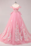 Ball Gown Pink Corset Appliqued Long Quinceanera Dresses with Floral