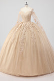 Princess Corset Champagne Appliqued Ball Gown Quinceanera Dress with Sleeves