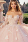 Princess Pink Ball Gown Off the Shoulder Long Sleeves Tulle Quinceanera Dress with Lace Appliques