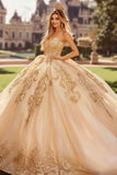 Champagne Strapless Appliqued Tulle Quinceanera Dress