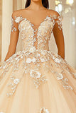 Champagne Off The Shoulder Lace Appliqued Quinceanera Dress