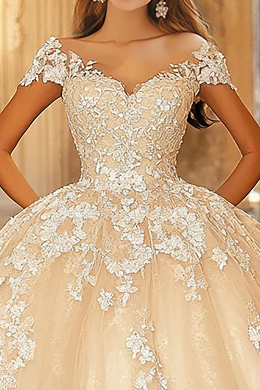 Champagne Ball Gown Organza Appliqued Quinceanera Dress With Cap Sleeves