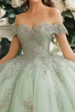 Dusty Sage Off The Shoulder Lace Appliqued Tulle Quinceanera Dress